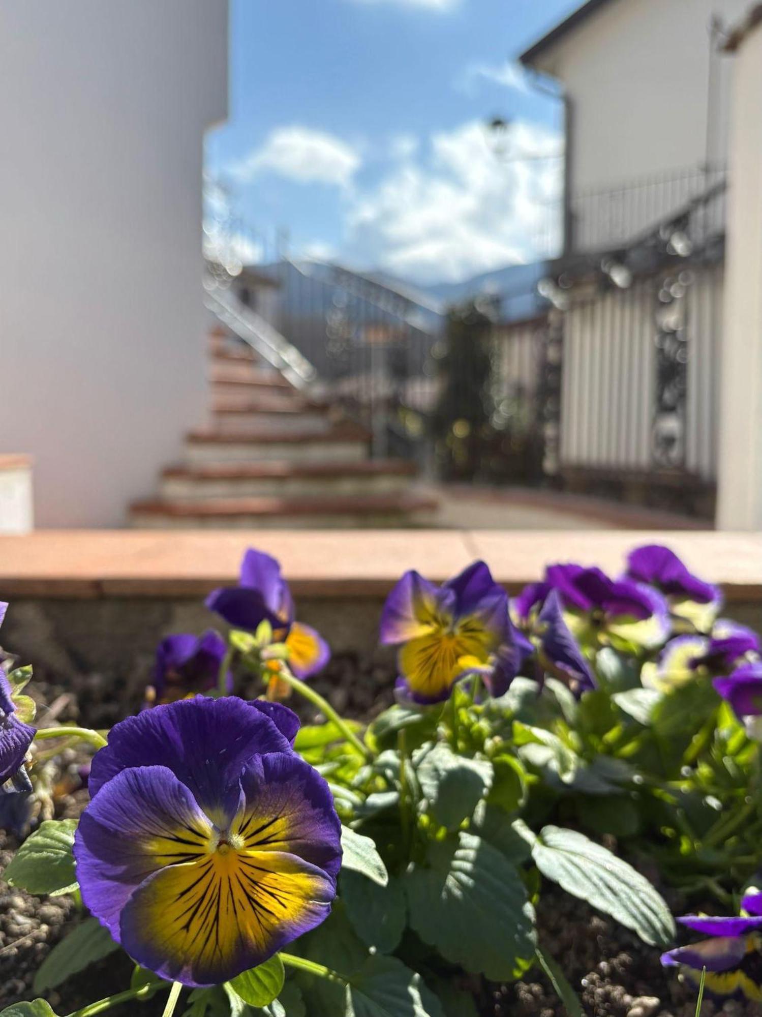 Albori Apartman San Severino Lucano Kültér fotó